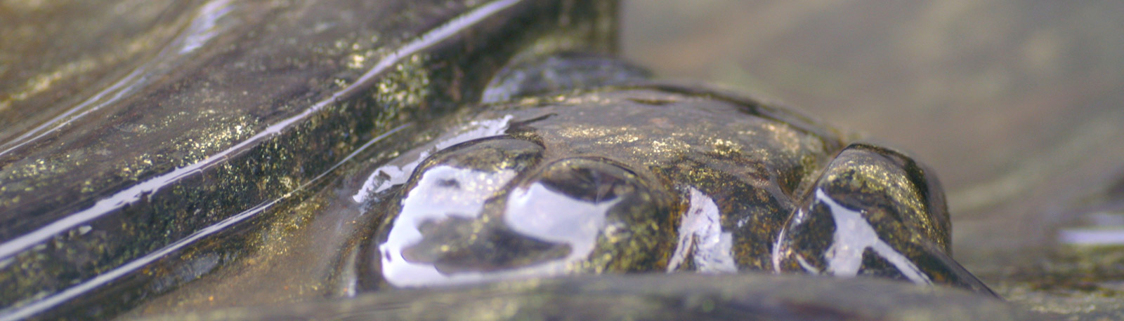 Friedhelm Kerstan GmbH - Bildhauer & Steinmetz Meisterwerkstatt Friedhelm Kerstan GmbH - Bildhauer & Steinmetz Meisterwerkstatt