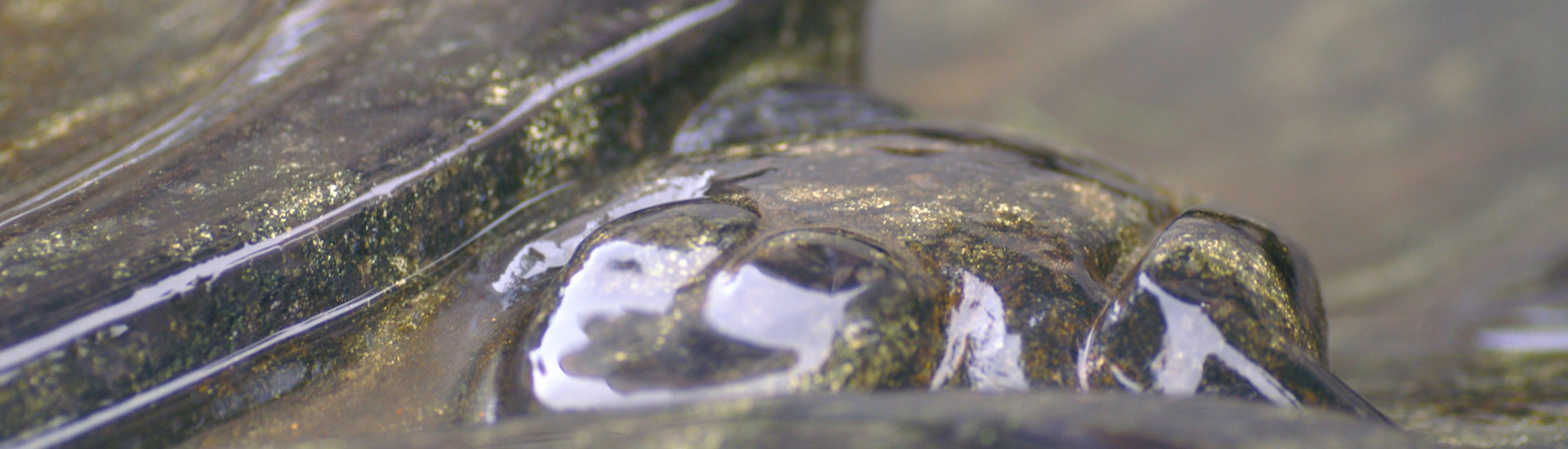 Friedhelm Kerstan GmbH - Bildhauer & Steinmetz Meisterwerkstatt Friedhelm Kerstan GmbH - Bildhauer & Steinmetz Meisterwerkstatt